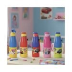 Insulated Bottle No. HL-S-15-CH ( 470ml )