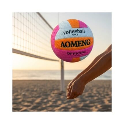 Volleyball No.2444