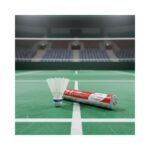 10 Pcs Plastic Shuttle Cock No. 262