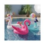 Swimming Ring No. 2220