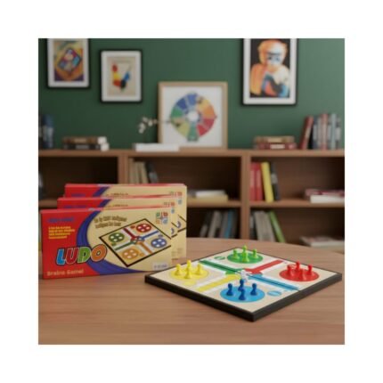 Magnetic Ludo