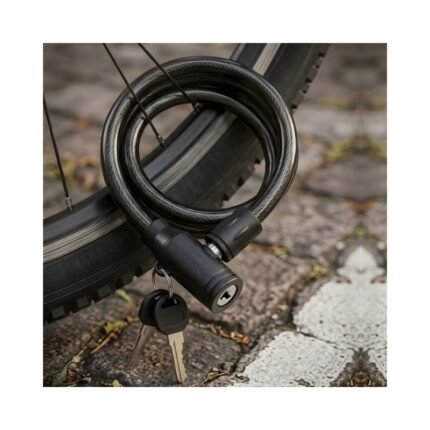 Cycle Lock No. 2118