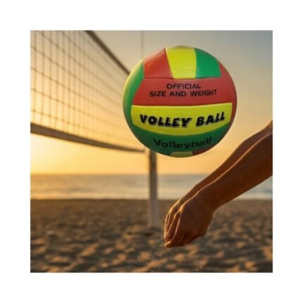 Volleyball No. 1273