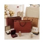 Gift Bag ( 10 Pcs Pack ) Single Design