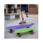 Skate Board