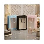 Gift Bag ( 10 Pcs Pack ) Single color (25 cm x 18 cm) No. 569