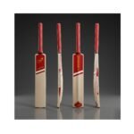 Cyma Strider X-4 Cricket Bat